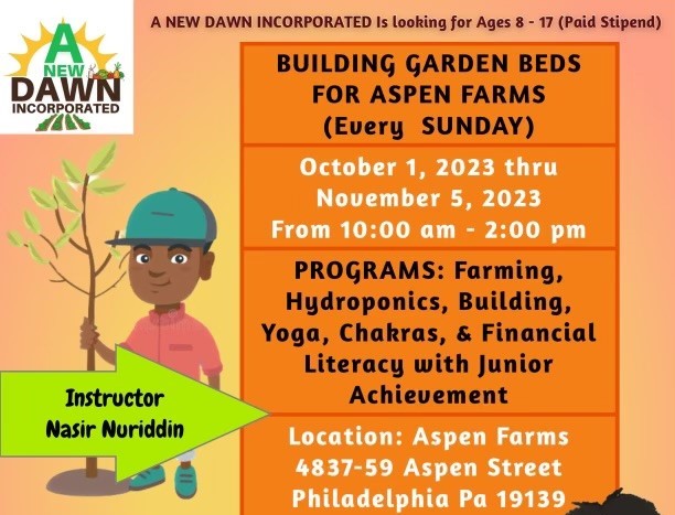 Building Garden Beds (Learn about food, finance and…